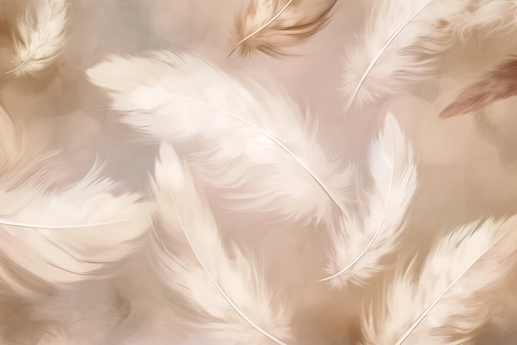 Group of white feathers