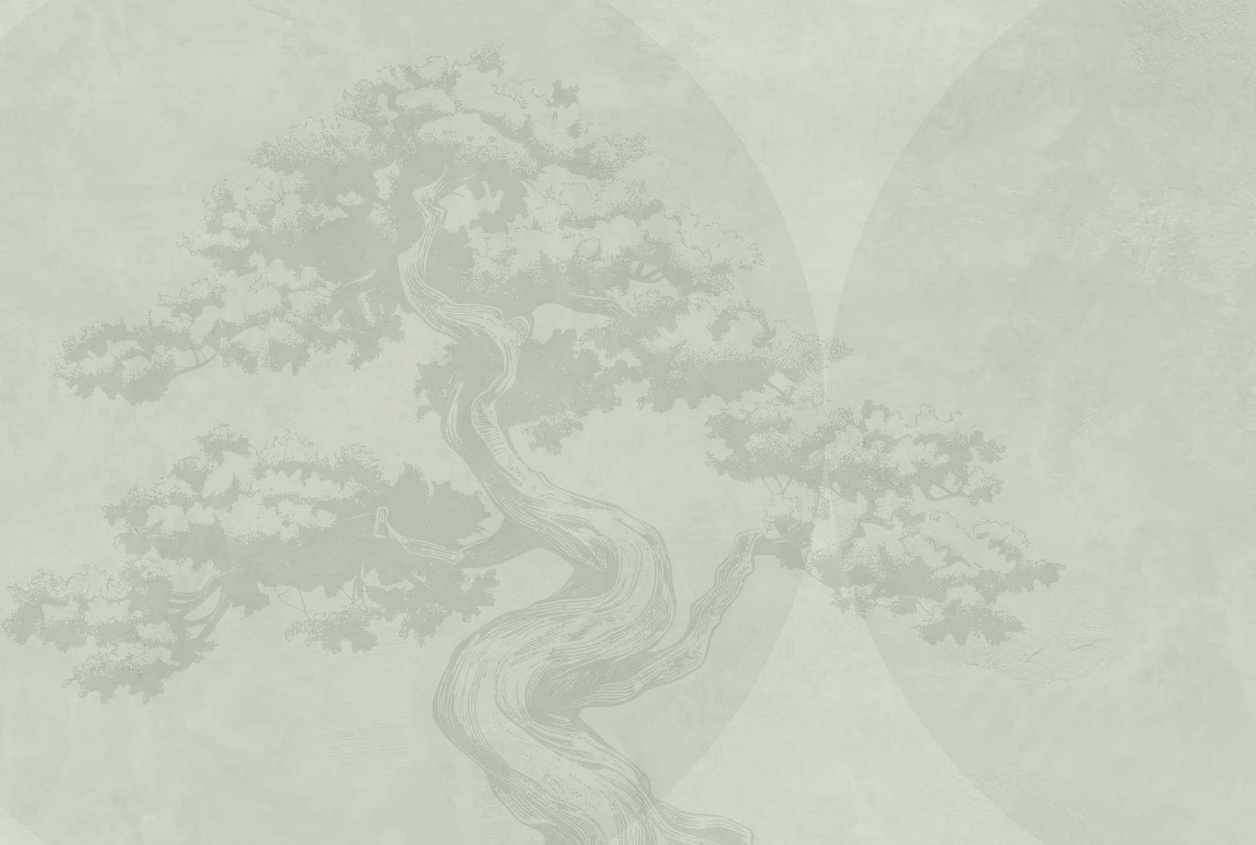 Tree with a curved trunk Tree with a curved trunk