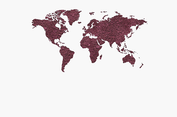 Map of the world
