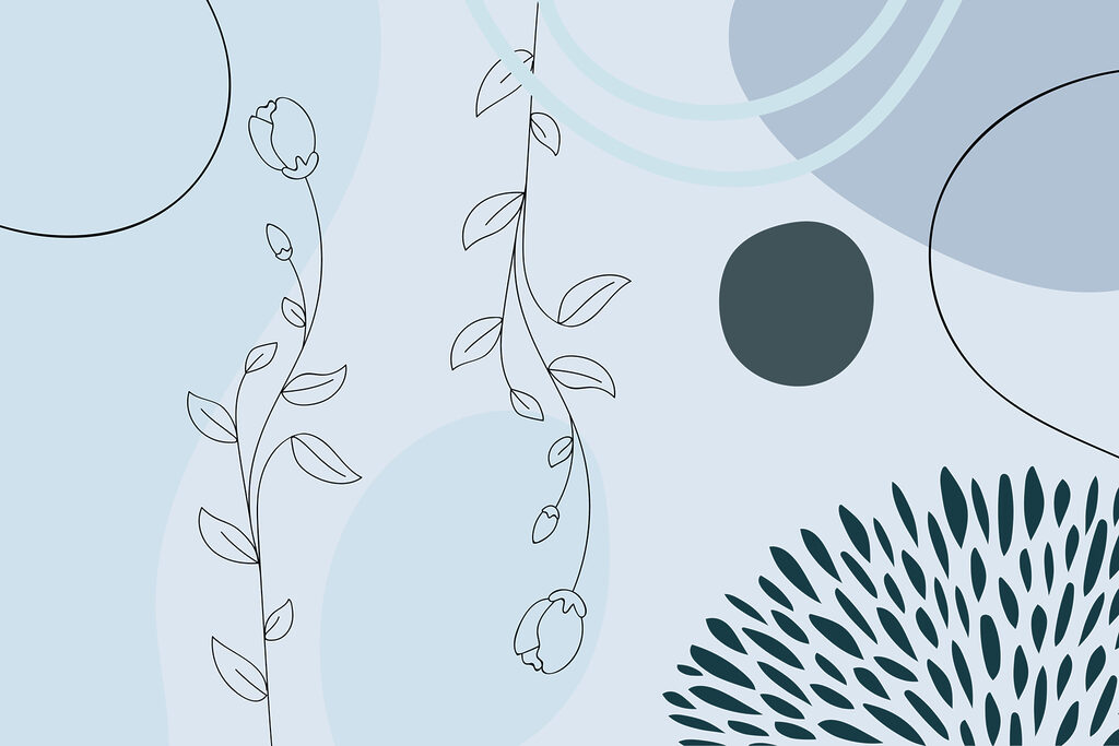 Soft lines and shapes in harmony