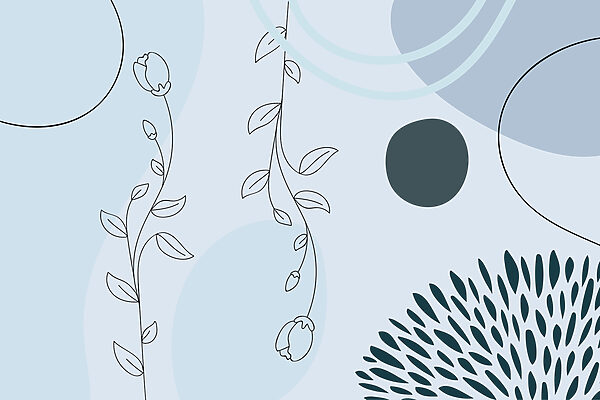 Soft lines and shapes in harmony