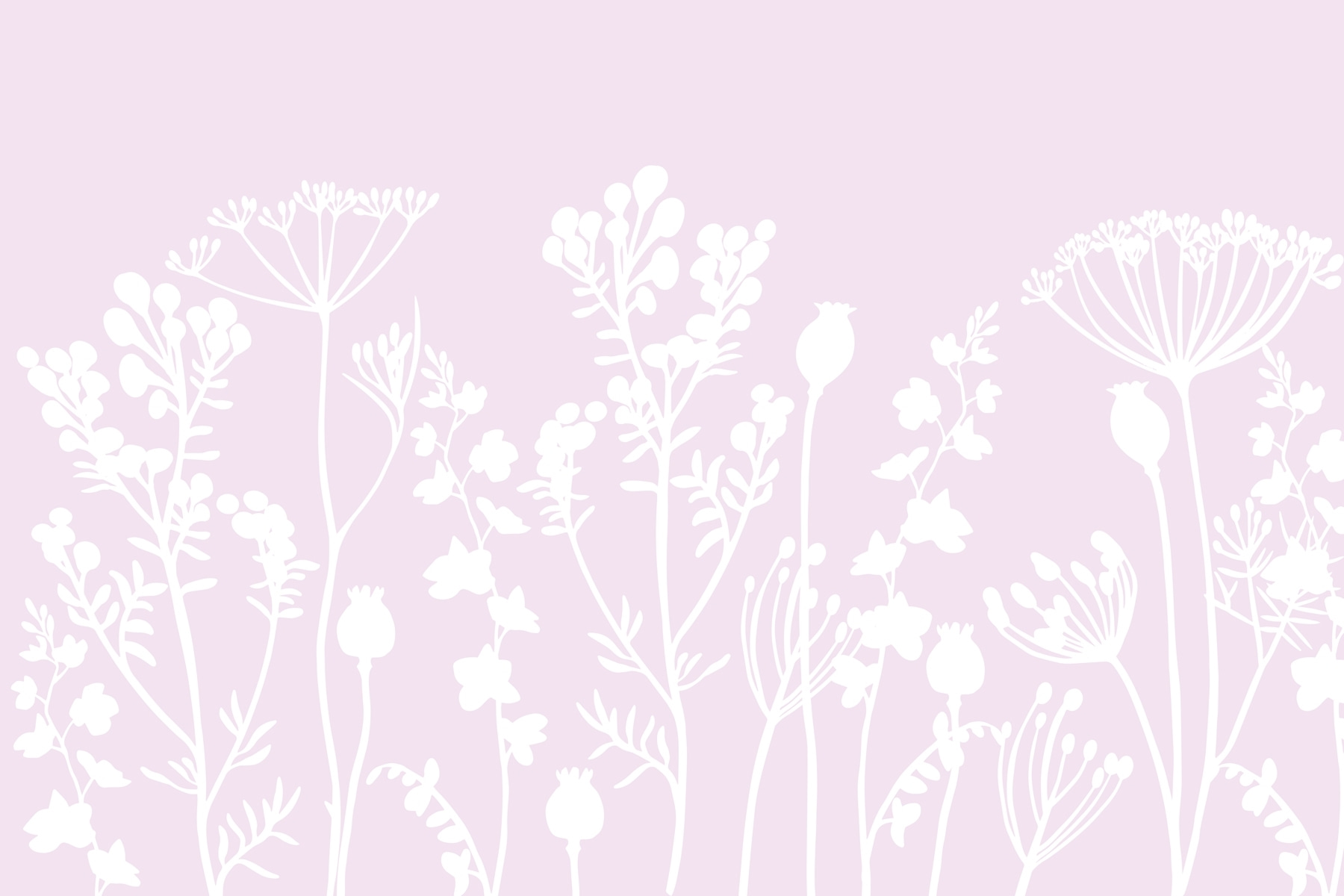 White flowers and leaves on a pink background White flowers and leaves on a pink background