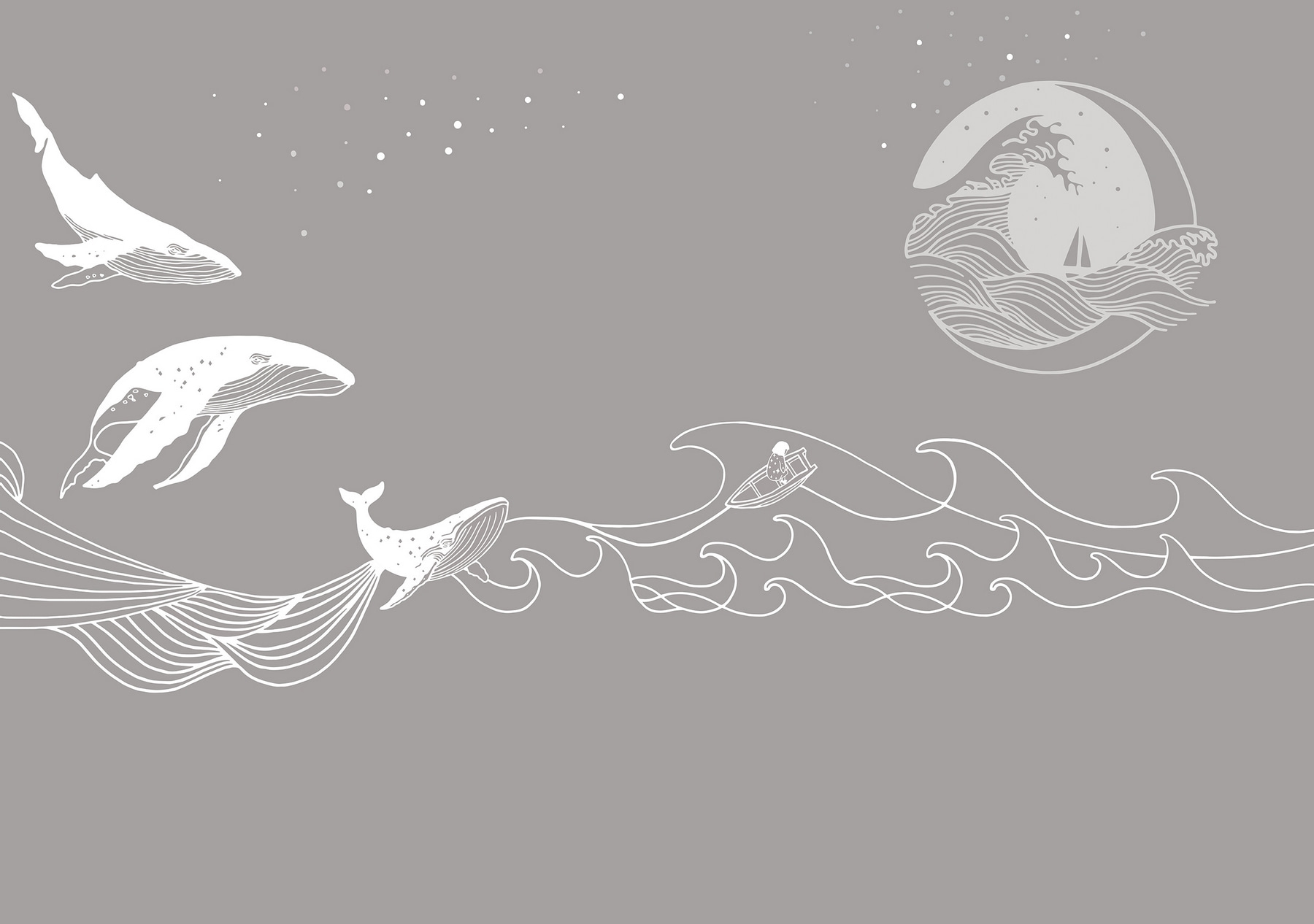 Whale and whale in the sea