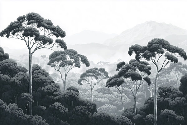 Forest with trees and mountains in the background