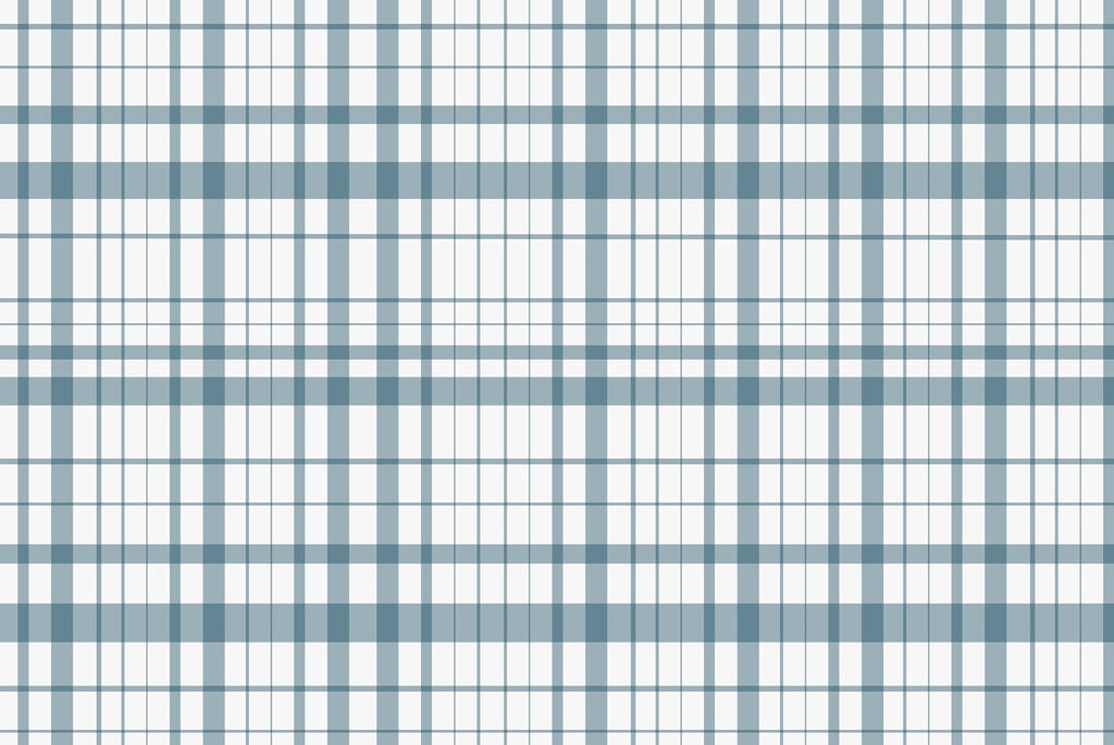 Blue and white plaid