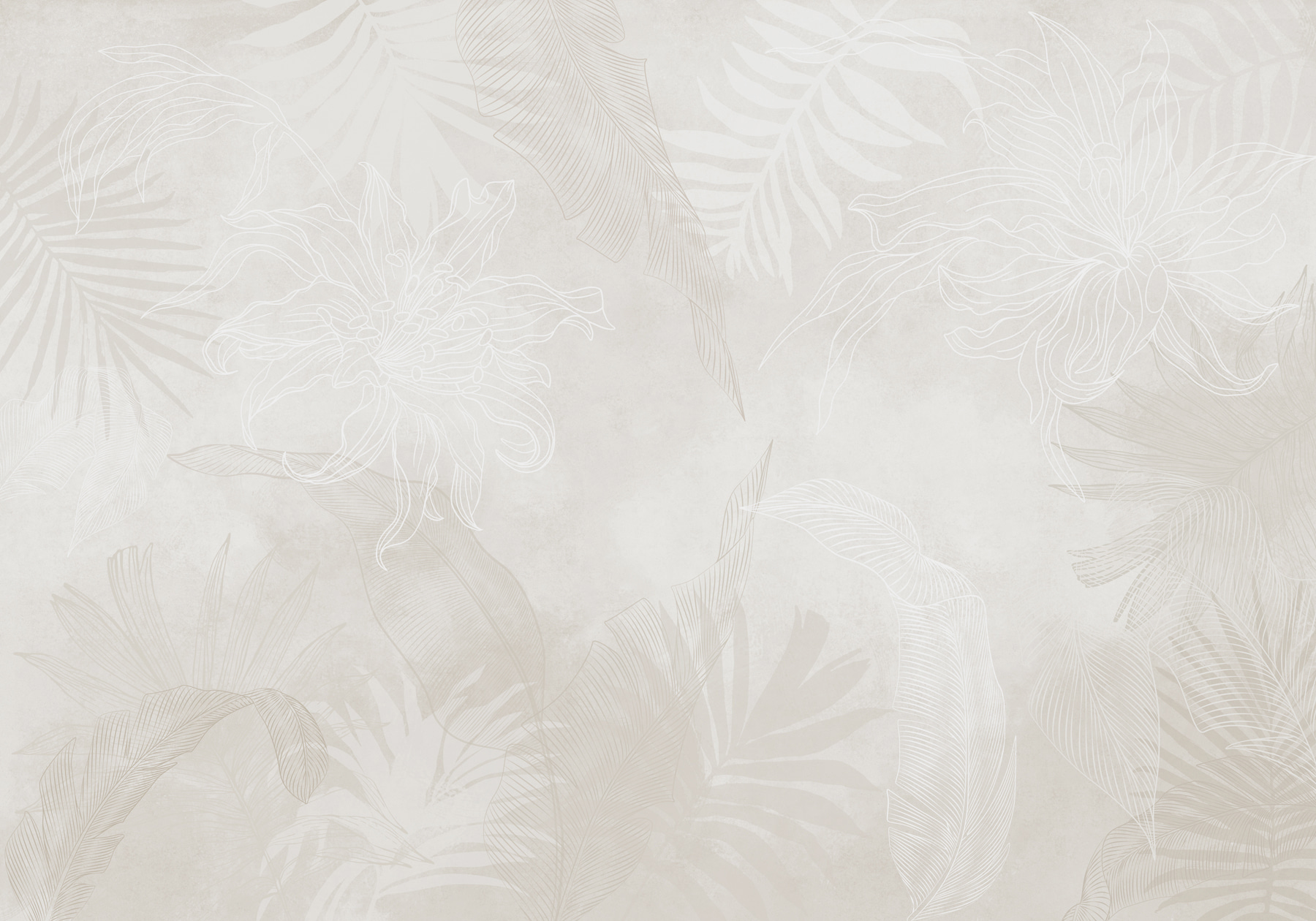 White background with leaves White background with leaves