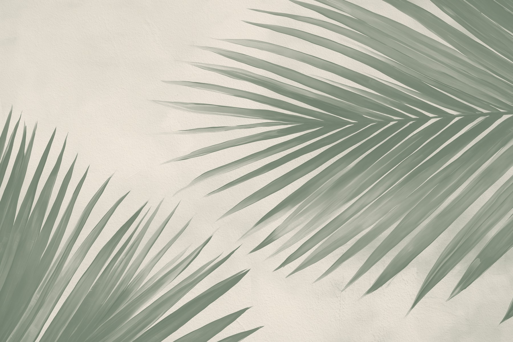 Fresh green palm leaves, nature's touch