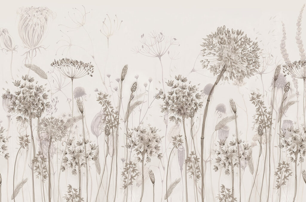 Drawing of flowers and plants