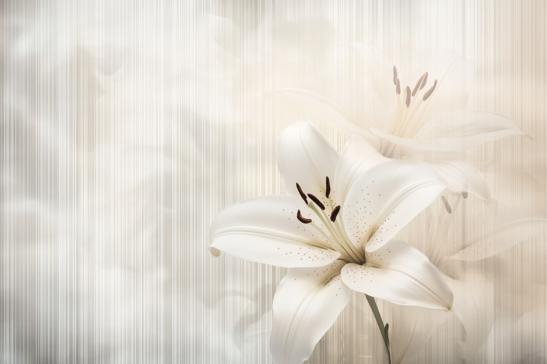 Elegant white lilies in soft hues