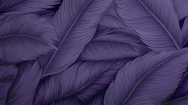 Lush leaves in deep purple hues