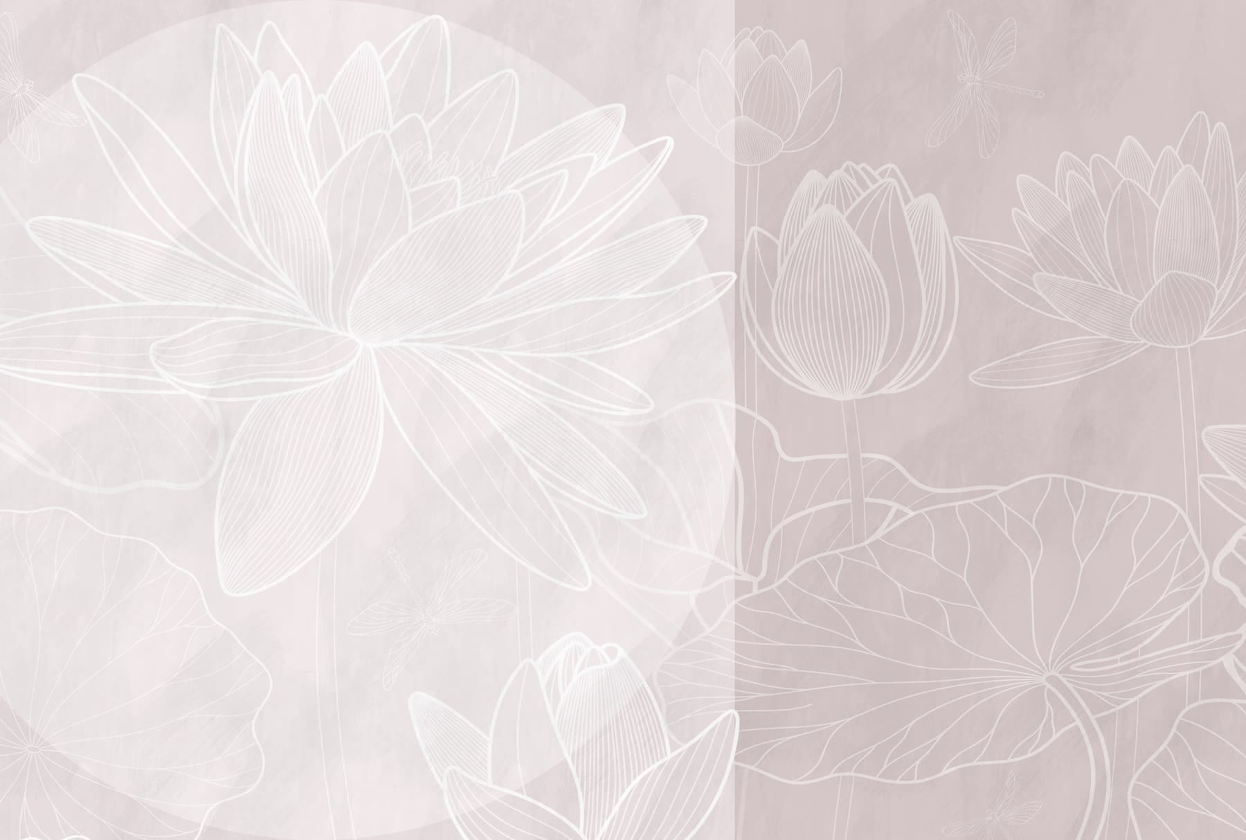 White flower drawing on a grey background