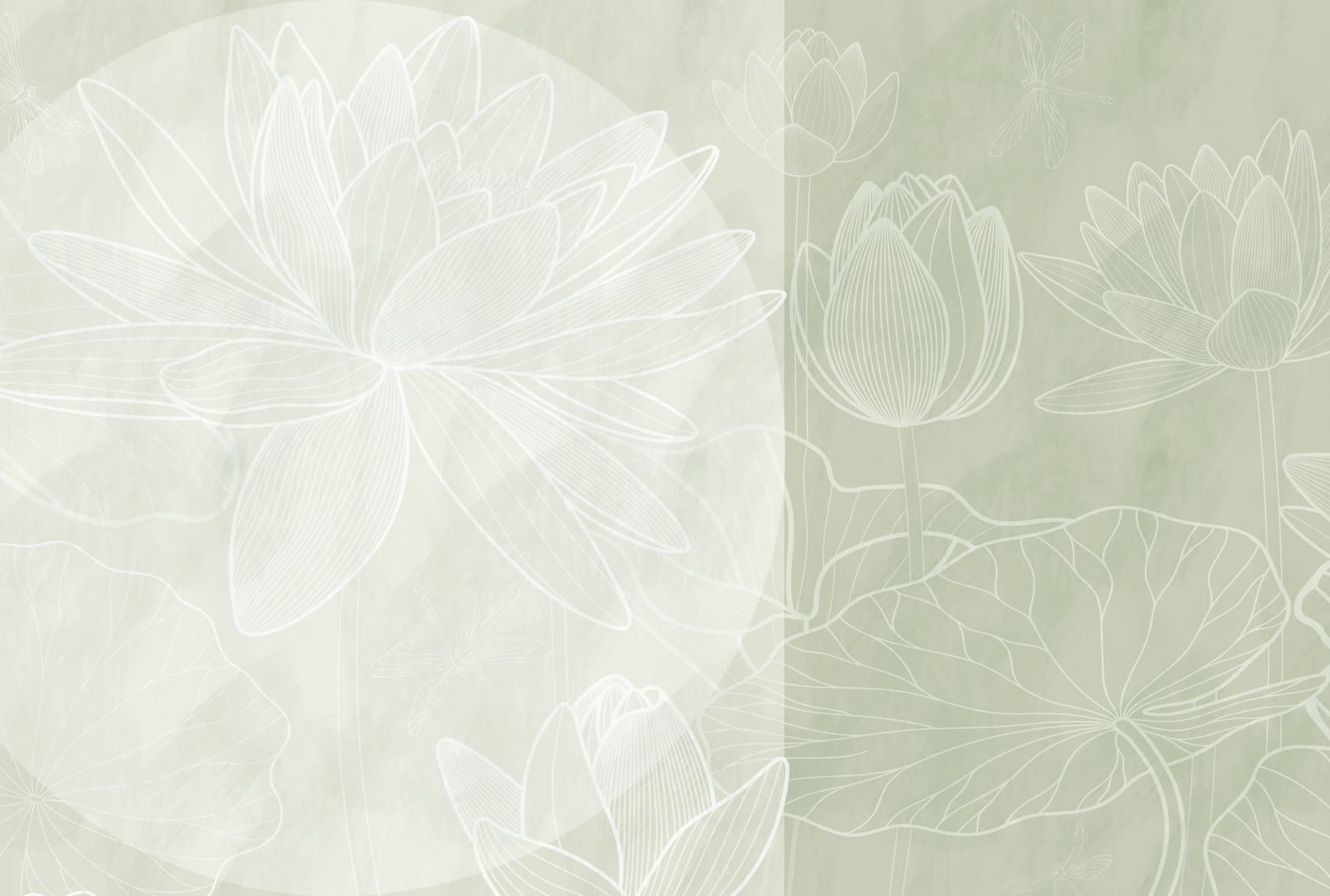 Soft outlines of tranquil water lilies