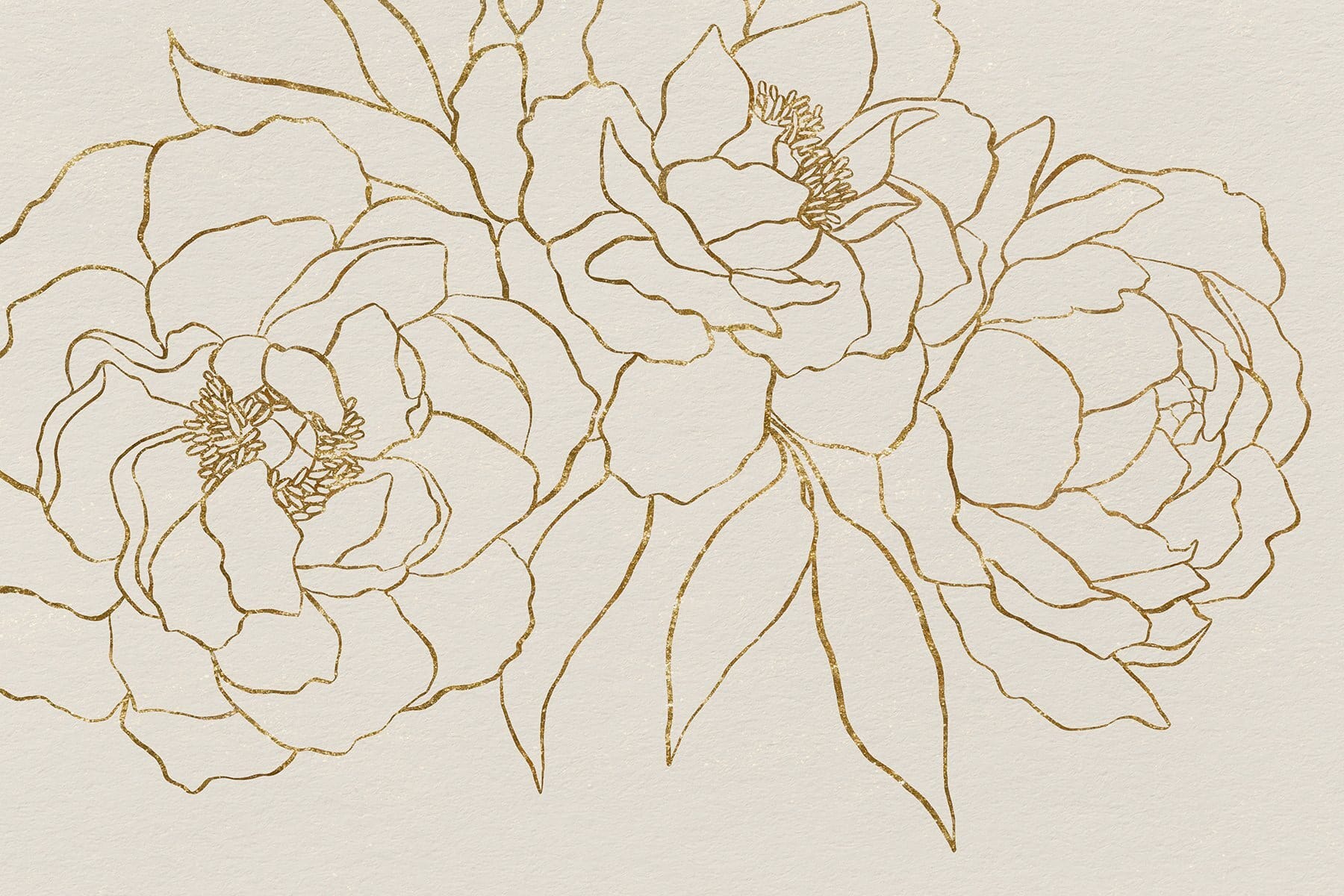 Drawing of flowers on a white surface Drawing of flowers on a white surface