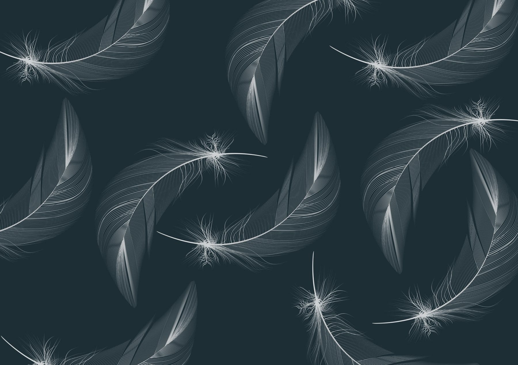 Pattern of white feathers Pattern of white feathers