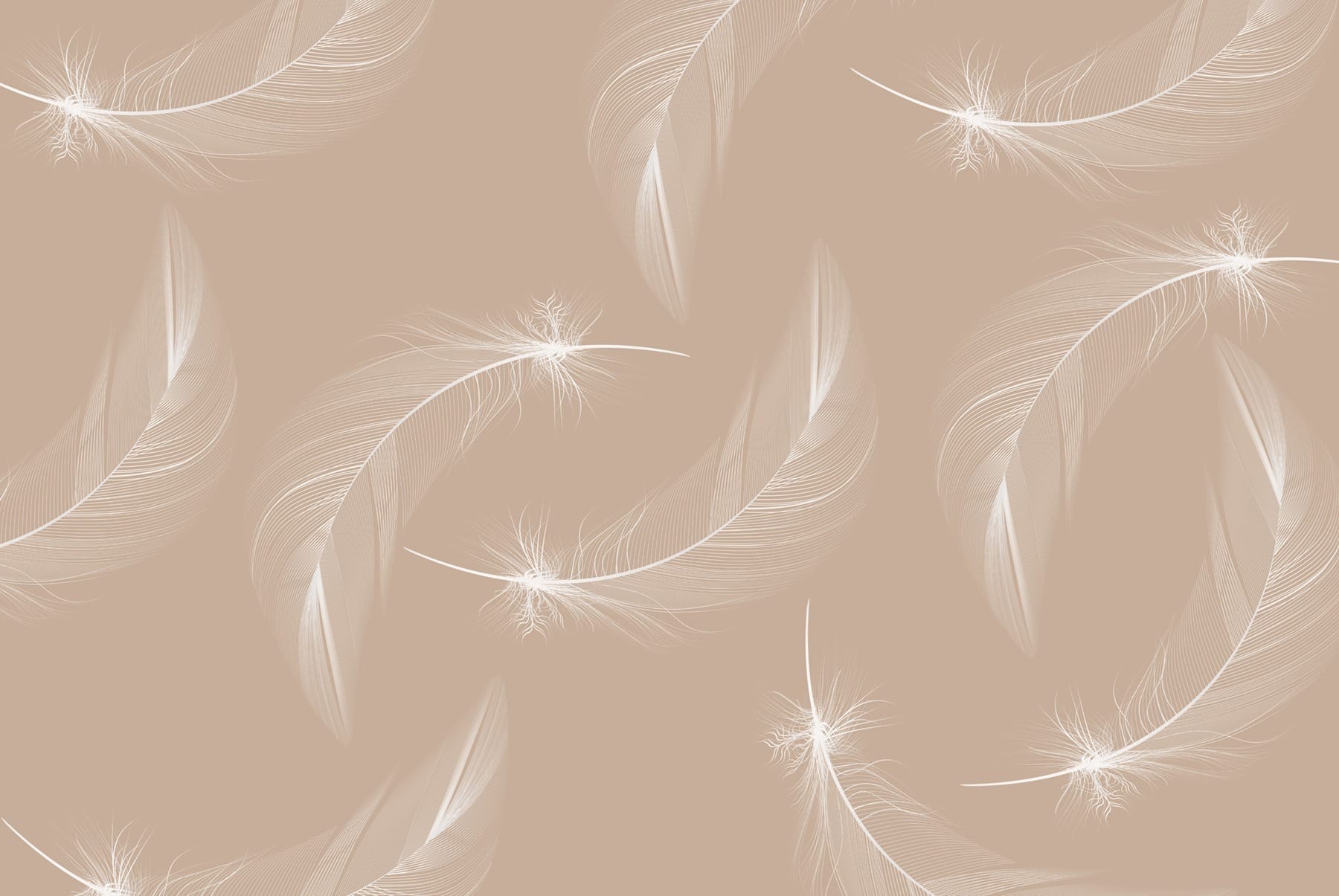 White feathers on a brown background