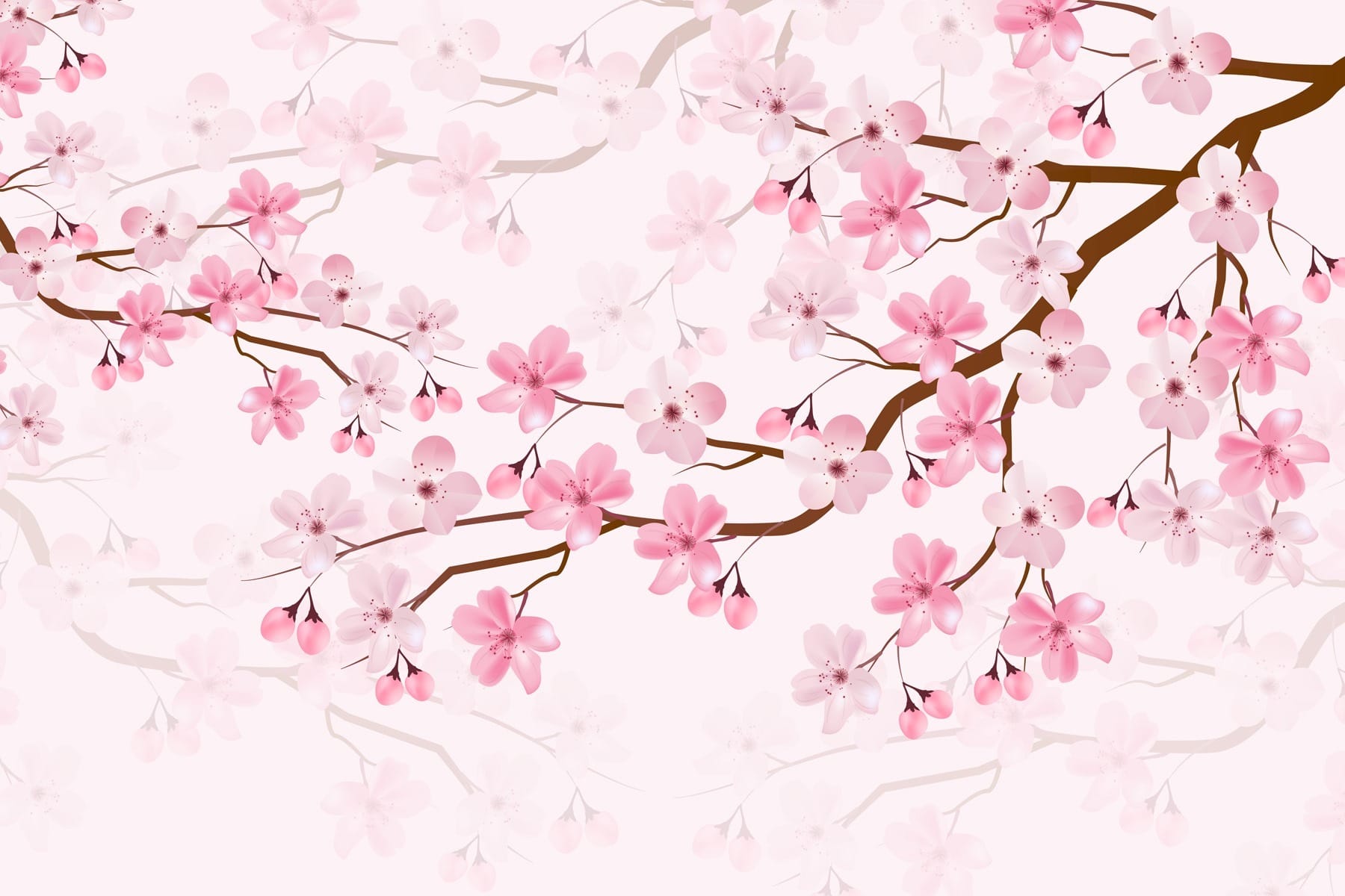 Pink flowers on a branch