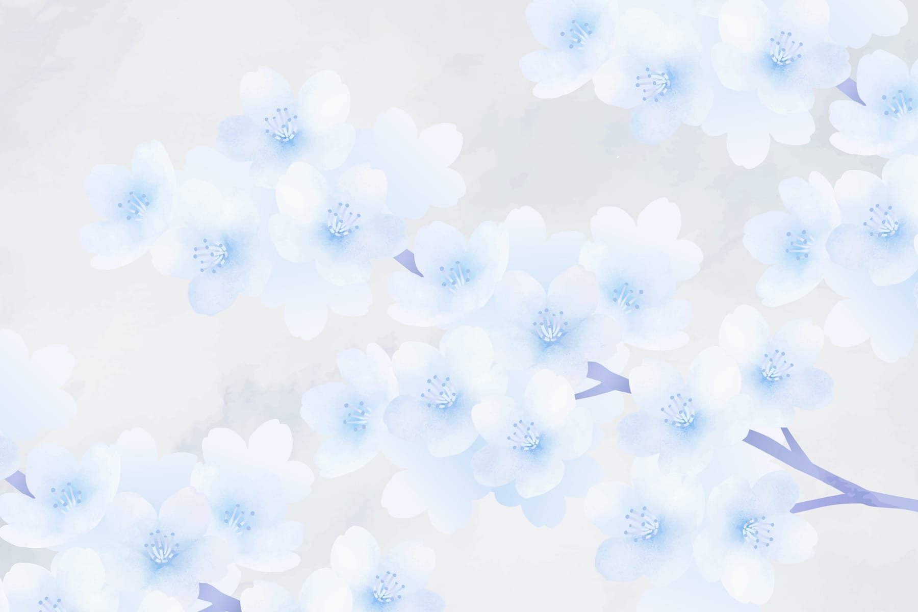 Delicate blooms in soft hues