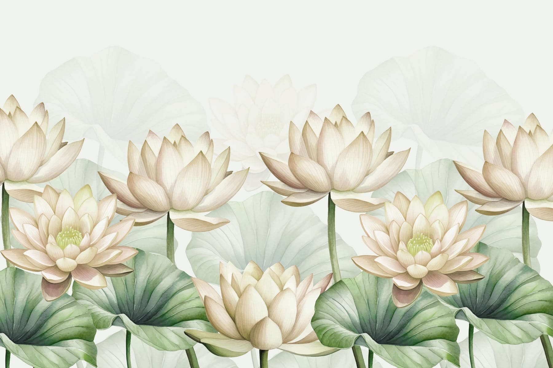 Group of white flowers with green leaves