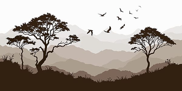 Birds flying over a mountain range