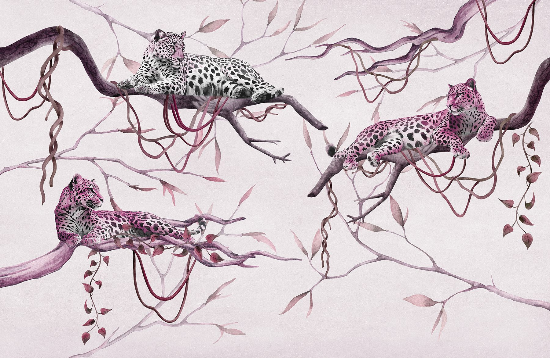 Group of leopards lying on a tree branch