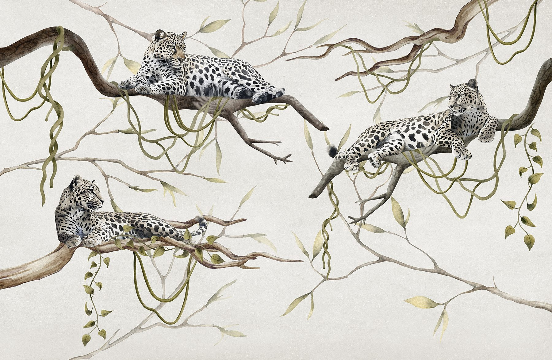 Group of leopards lying on branches