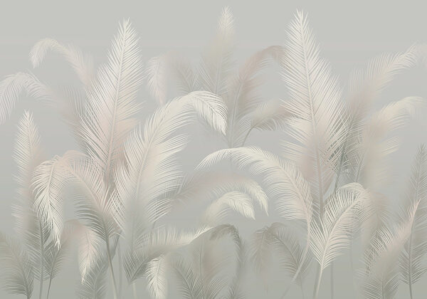 Group of white feathers