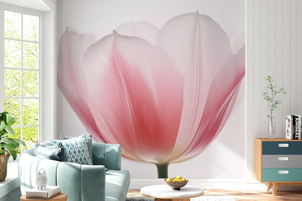 Delicate petals of soft hues