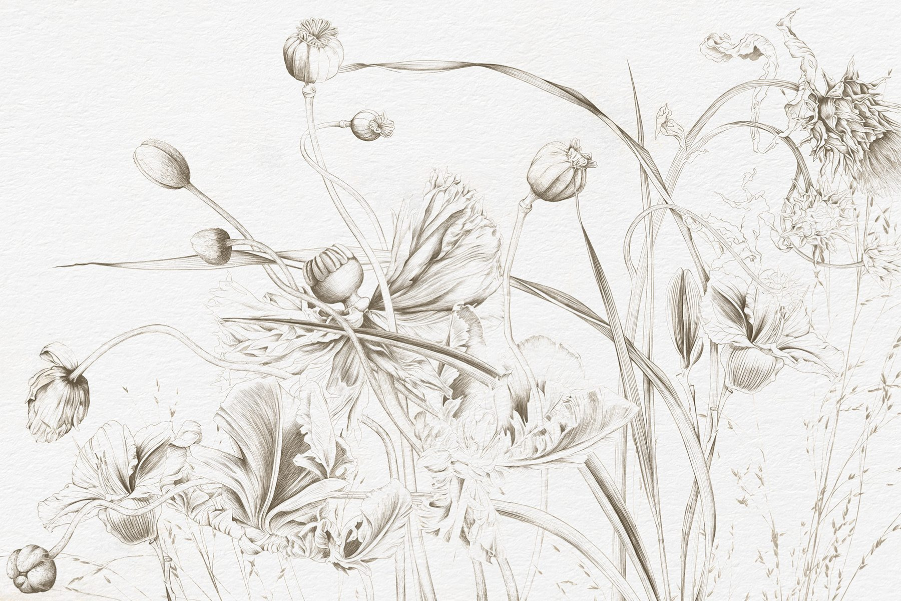 Drawing of flowers and leaves
