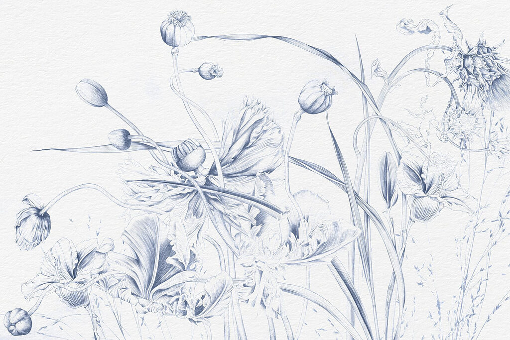 Drawing of flowers and leaves