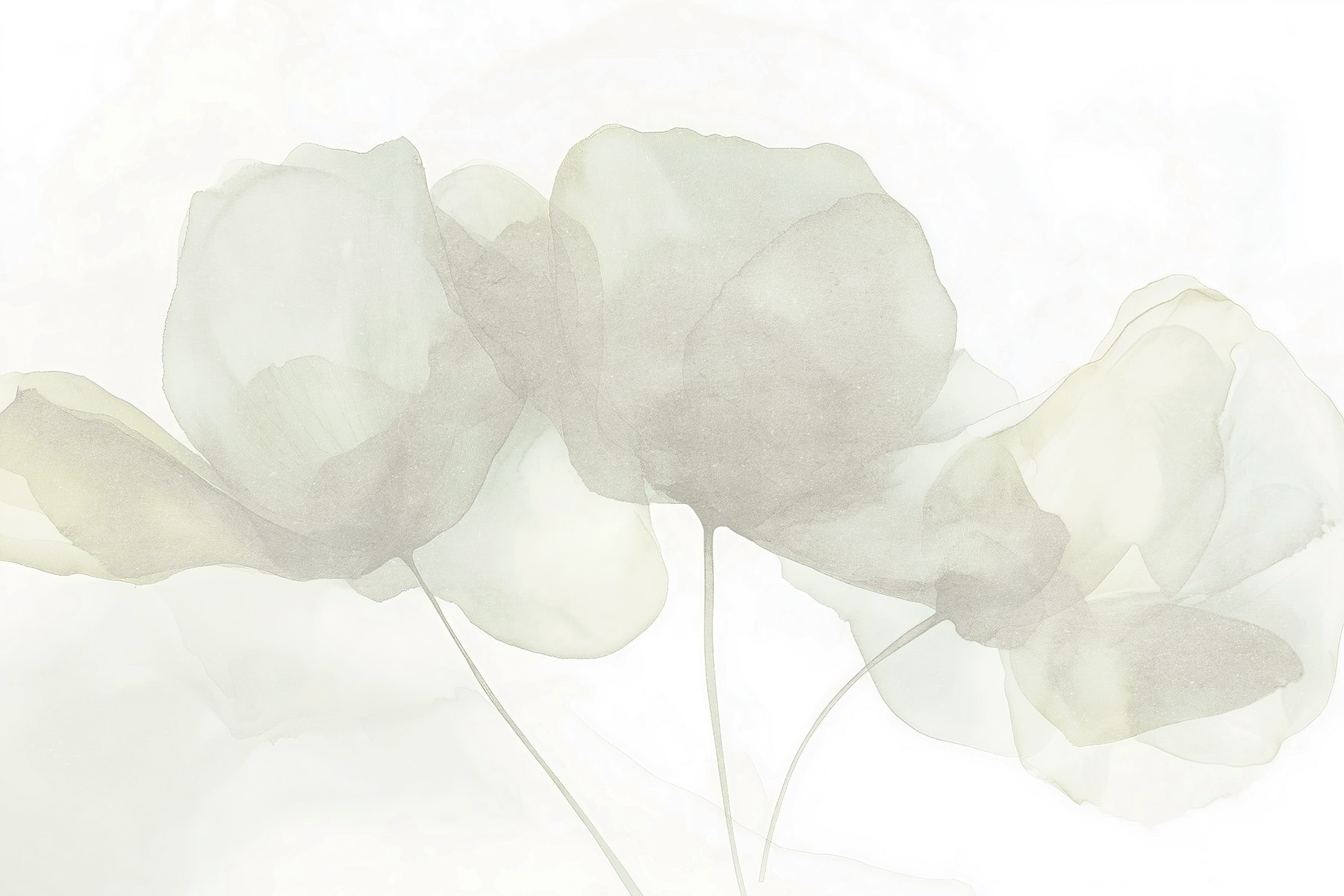 Delicate petals in soft hues