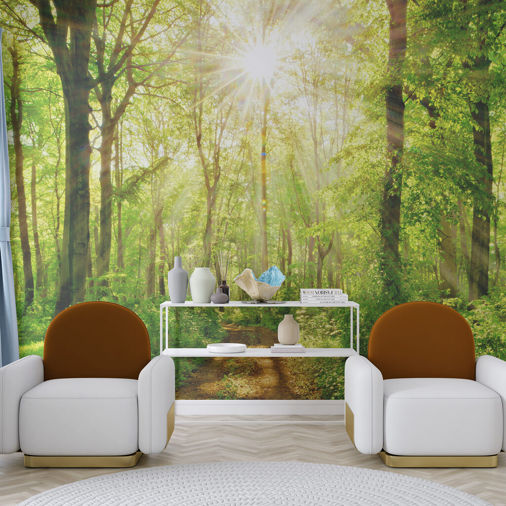 Path through a forest with trees and plants