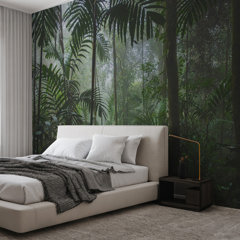 Dense forest with tall trees Dense forest with tall trees