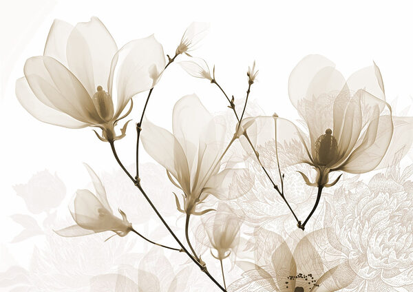 Delicate blooms in soft hues
