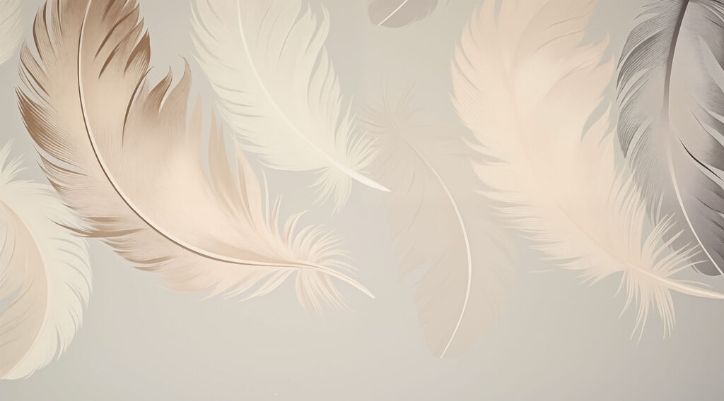 Group of feathers on a white background