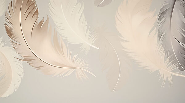 Group of feathers on a white background