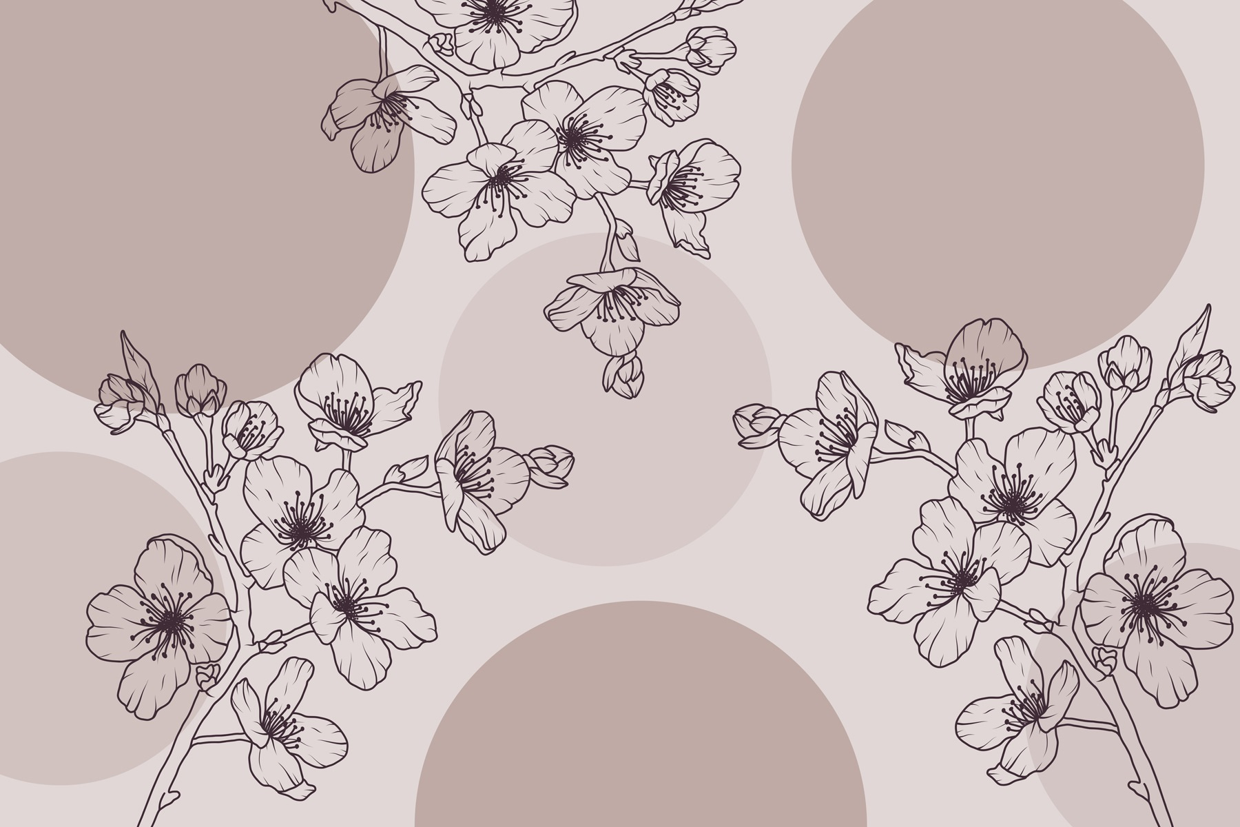 Delicate blossoms in soft hues Delicate blossoms in soft hues