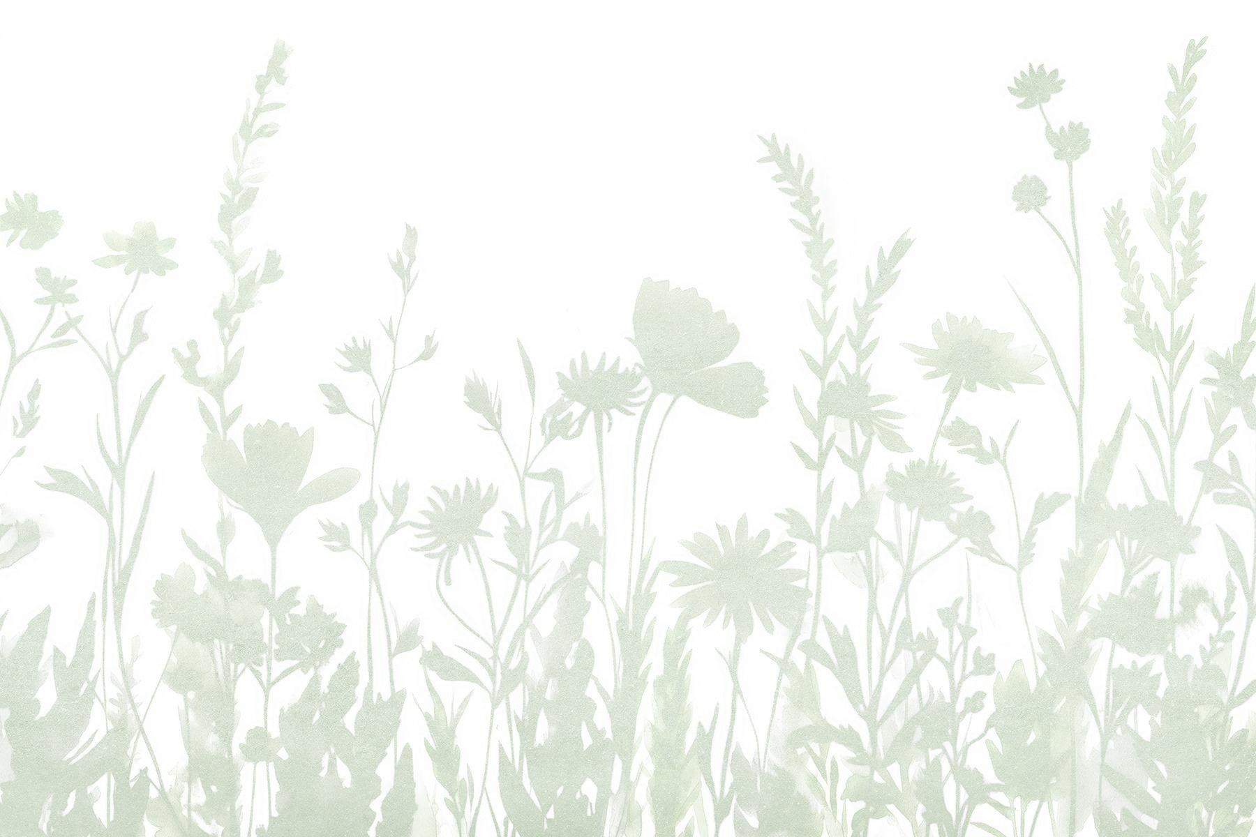 Whimsical floral silhouette design displayed Whimsical floral silhouette design displayed