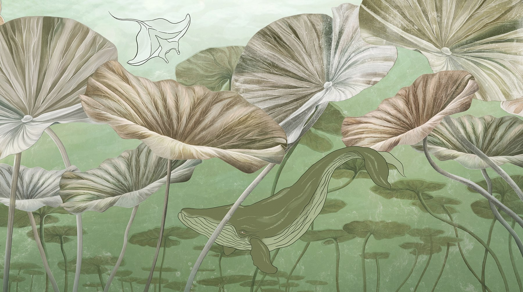 Whale swimming in water