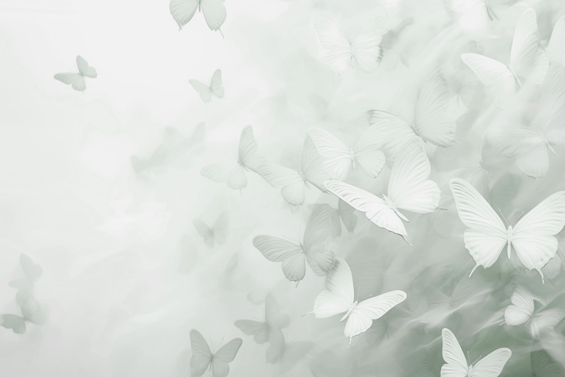 Group of butterflies flying