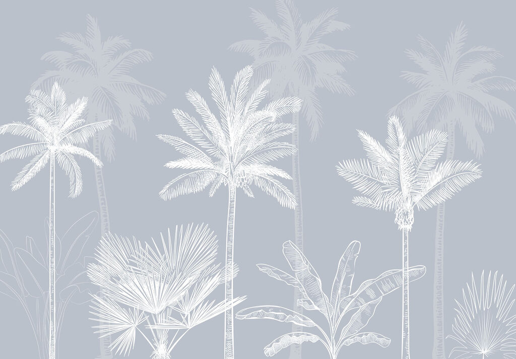 Group of palm trees