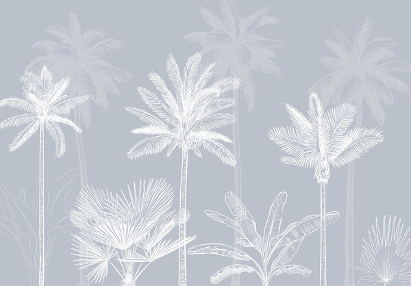 Group of palm trees