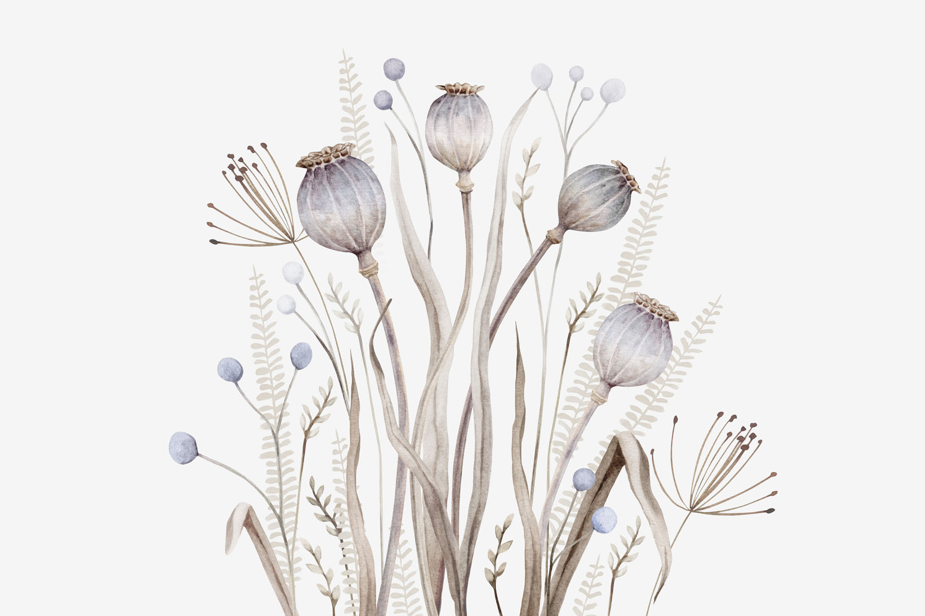 Watercolor painting of flowers and plants Watercolor painting of flowers and plants