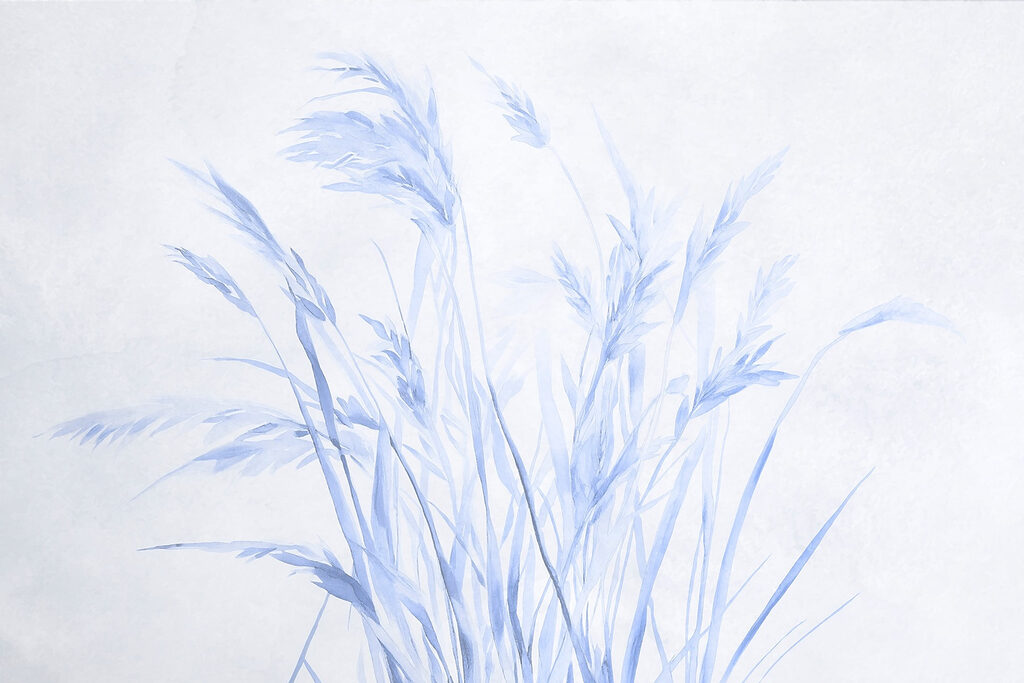 Delicate grasses in soft hues