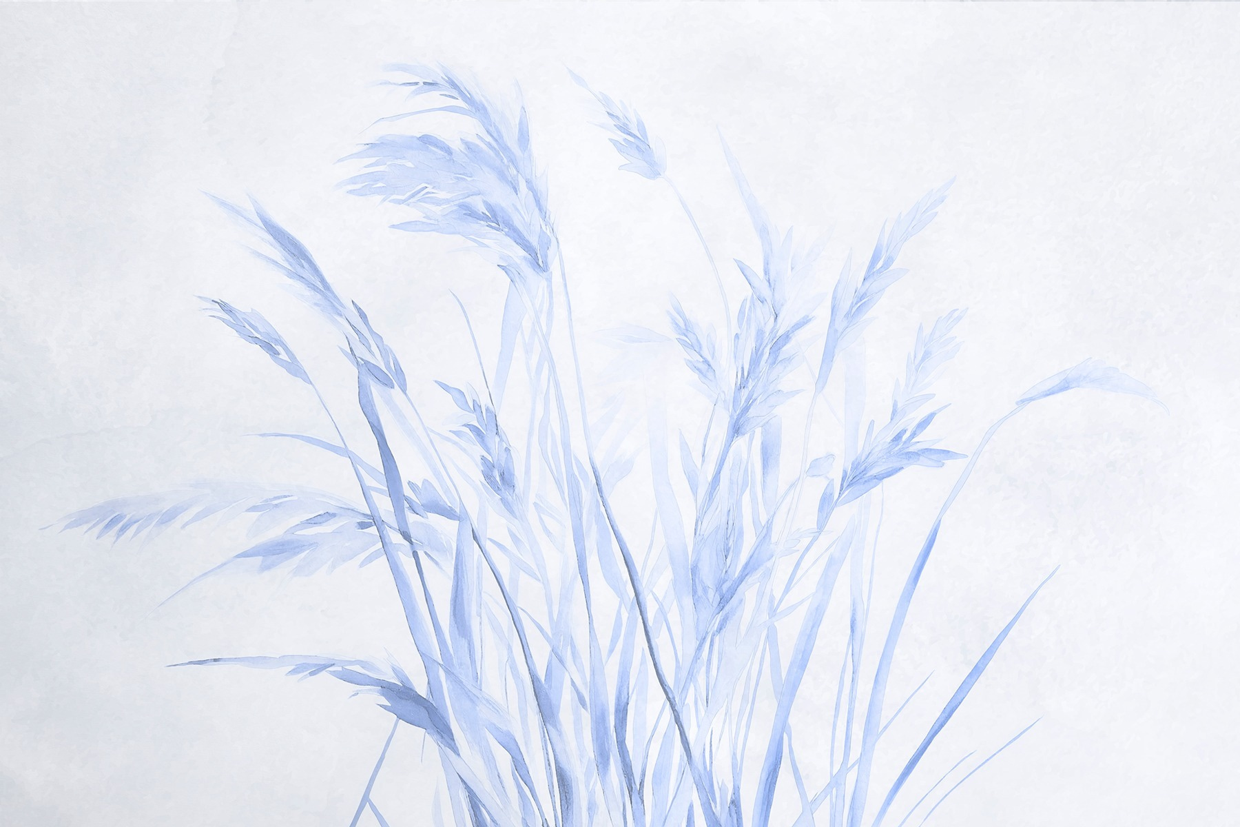 Delicate grasses in soft hues
