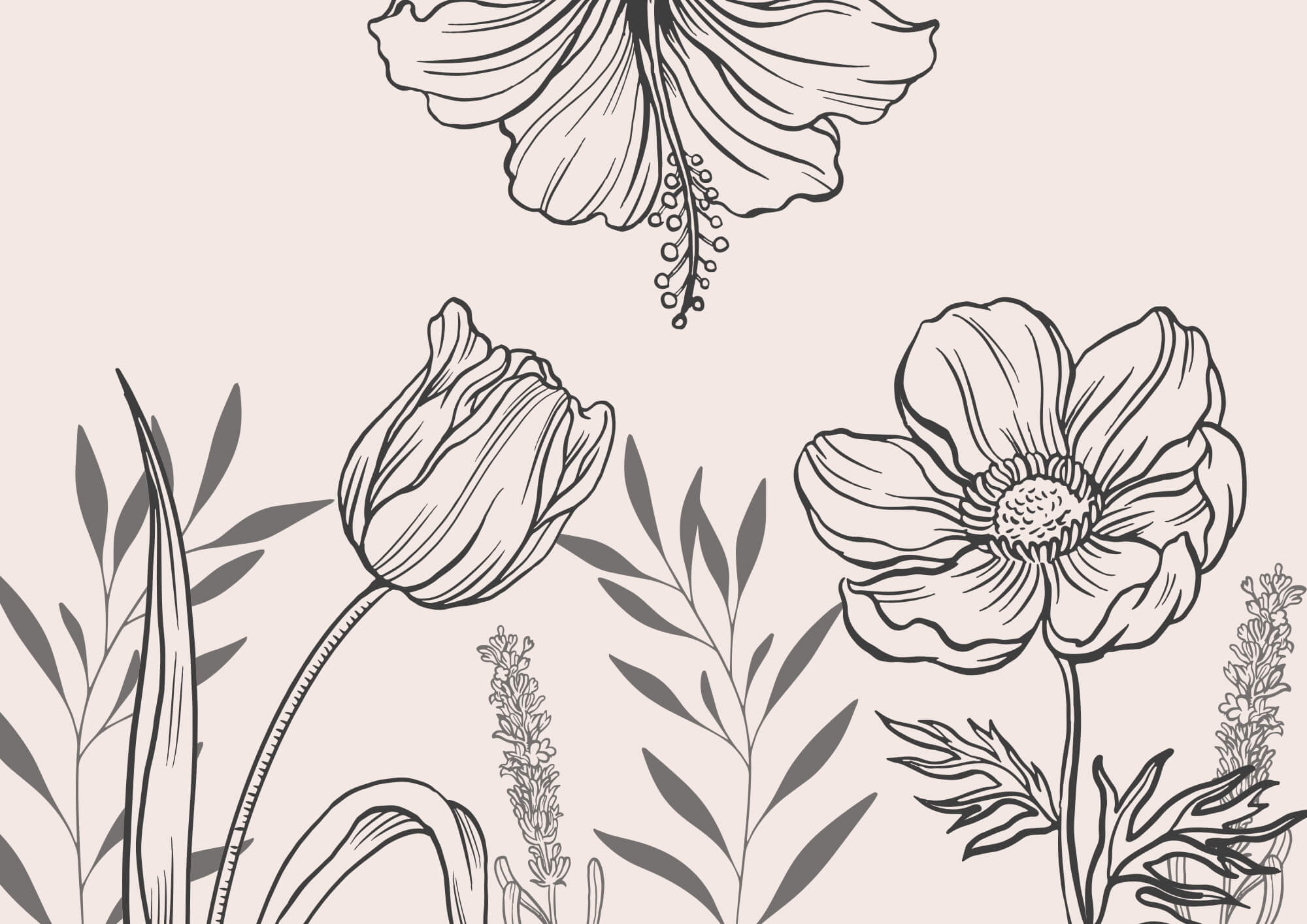 Delicate floral line art design