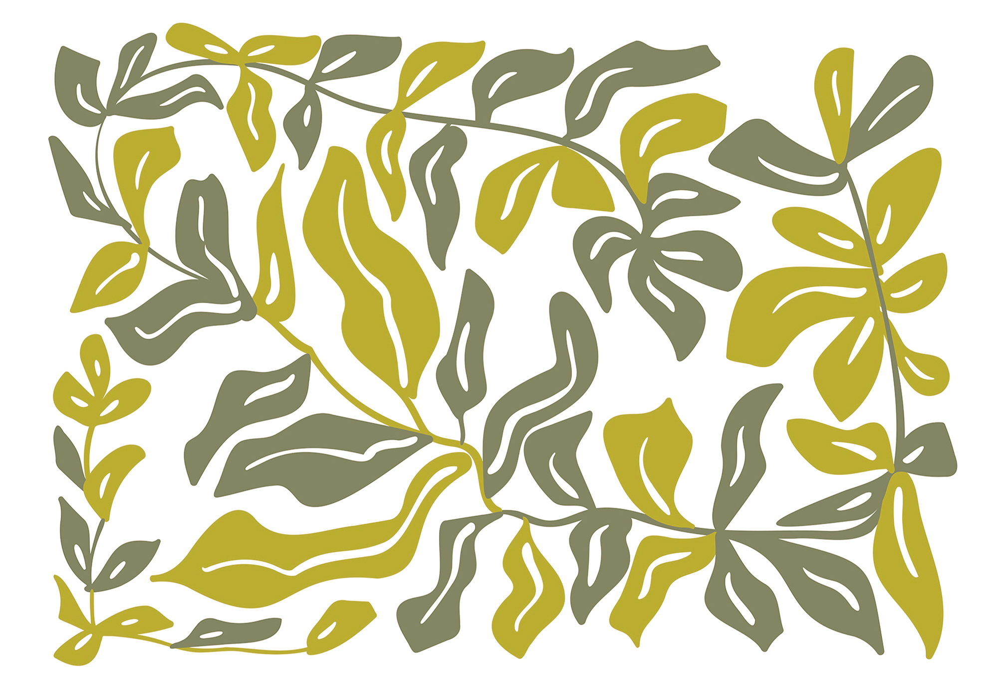 Drawing of leaves and flowers