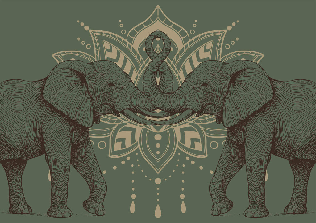 Two elephants with their trunks touching each other