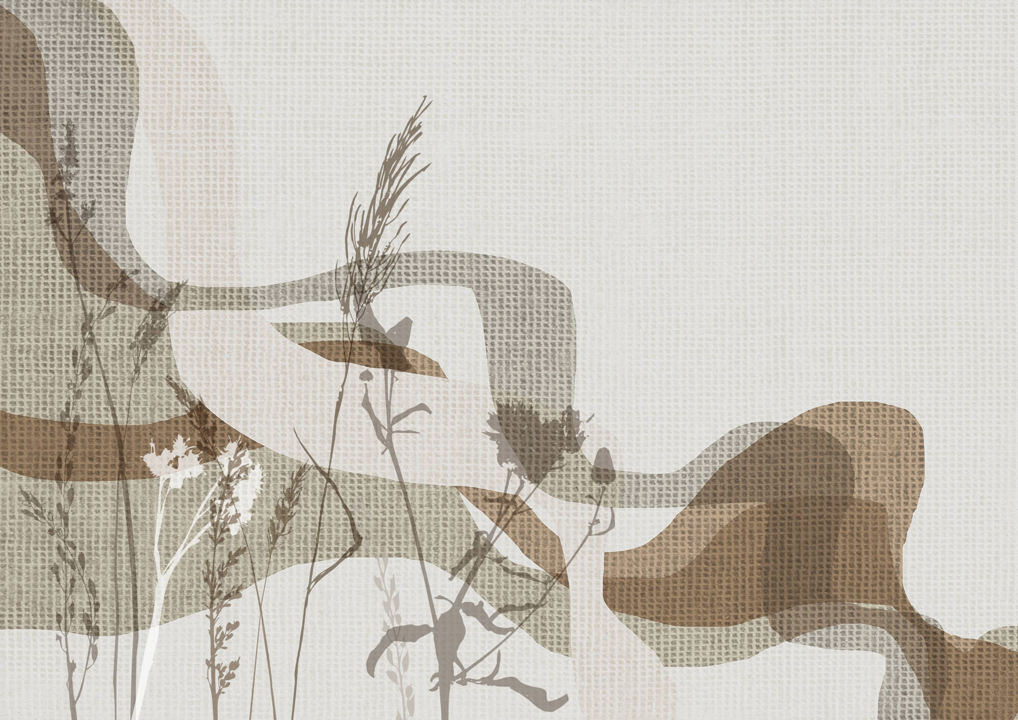 Gentle hues of nature's beauty