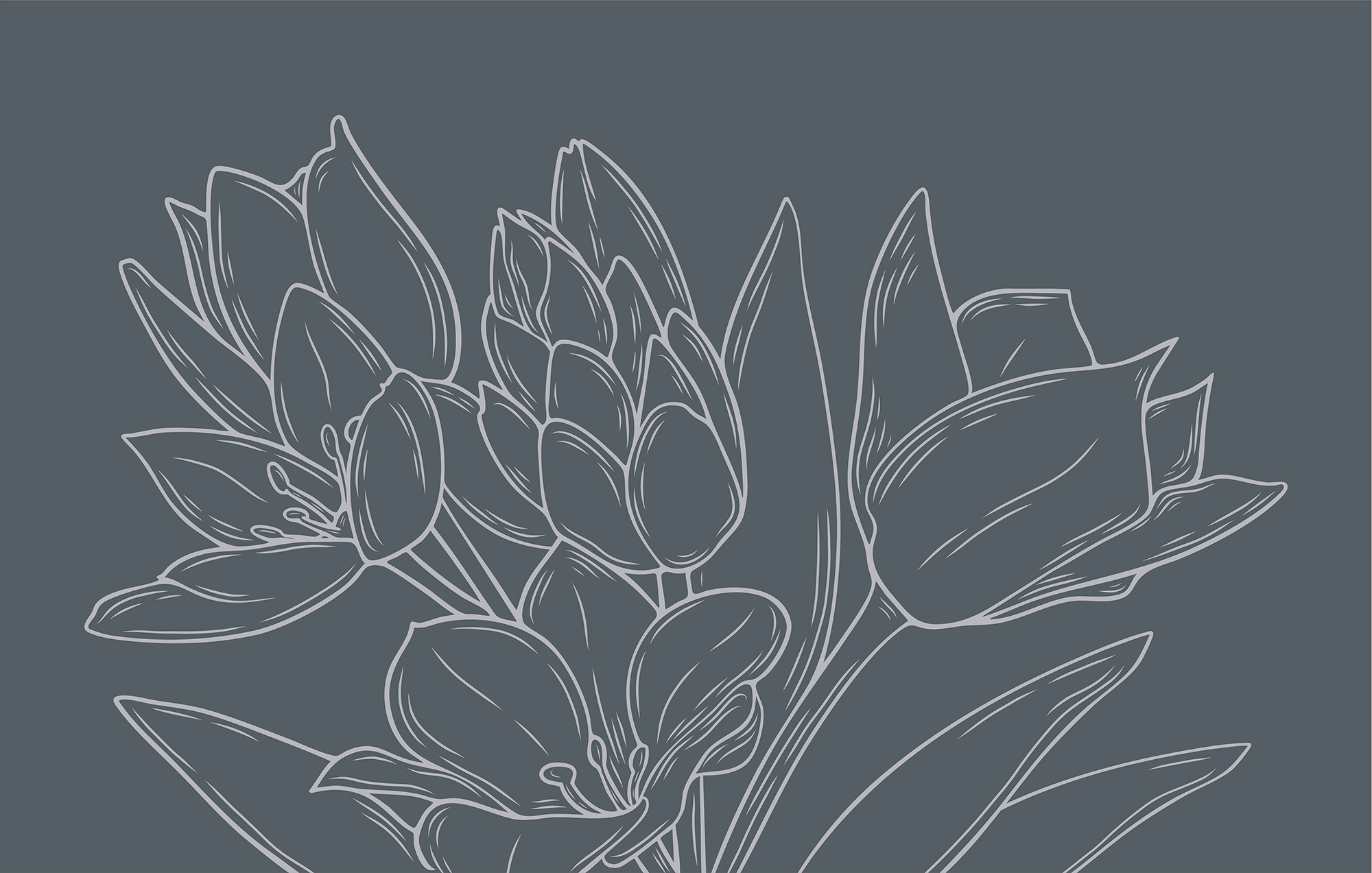 Delicate flowers against a dark background