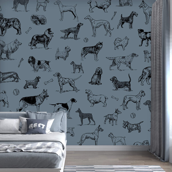 Ομάδα σκύλων σε μπλε φόντο t00173v1pir2 600x600 - Ομάδα σκύλων σε μπλε φόντο